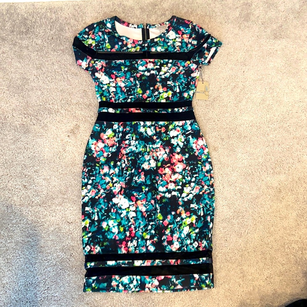 Never been worn dress with tags attached. Small, multicolor floral with netting